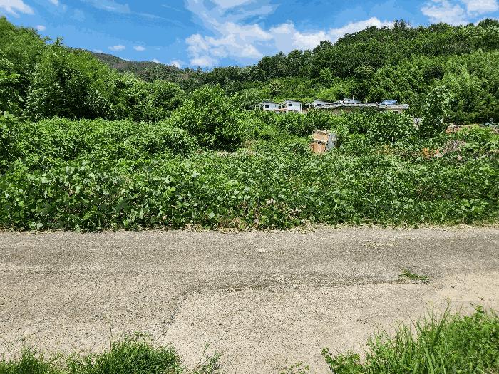 경상남도 밀양시 부북면 오례리 330 답 경매 사진 3