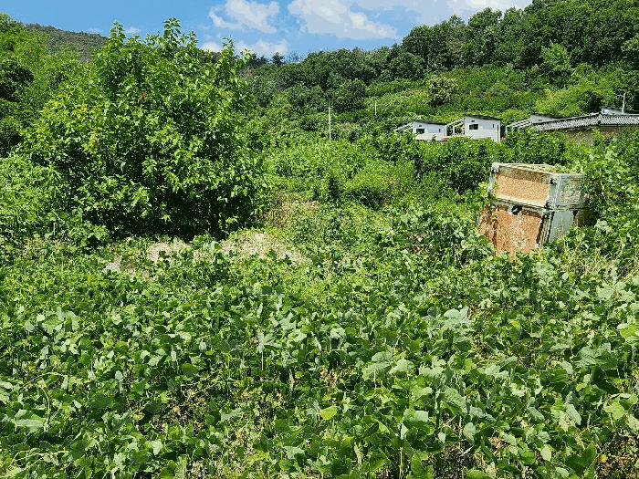 경상남도 밀양시 부북면 오례리 330 답 경매 사진 4