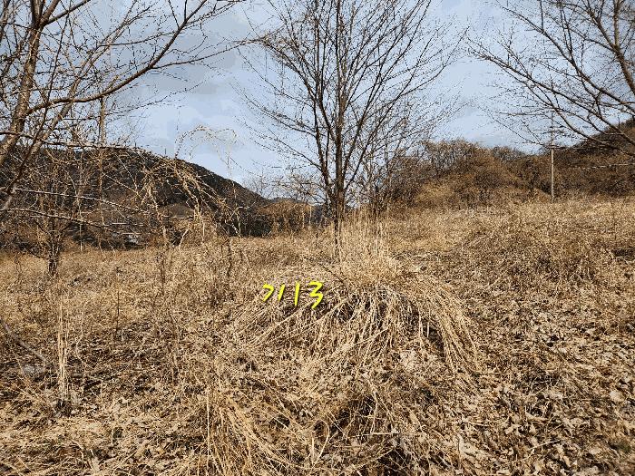 경상남도 산청군 단성면 자양리 산92-23 임야 경매 사진 32