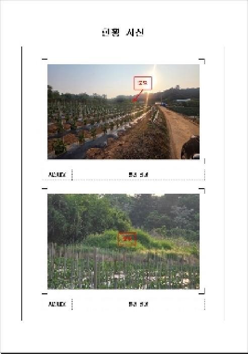 전라남도 무안군 일로읍 산정리 586-12 전 경매 사진 4