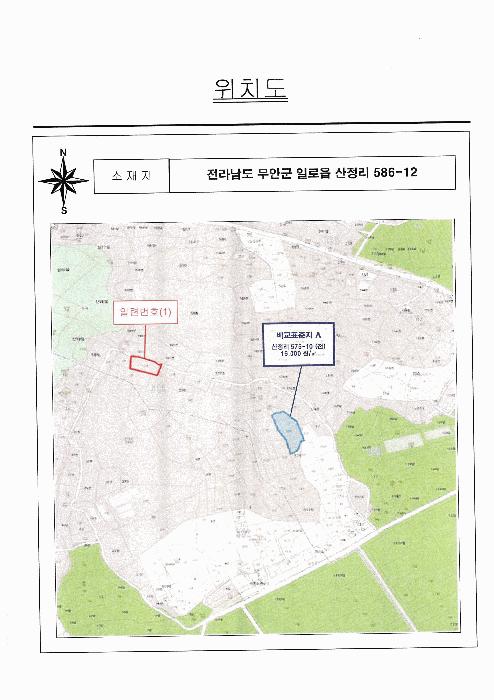 전라남도 무안군 일로읍 산정리 586-12 전 경매 사진 5