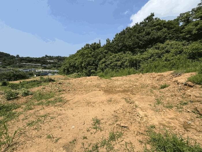 전라남도 무안군 삼향읍 왕산리 349-9 전 경매 사진 3
