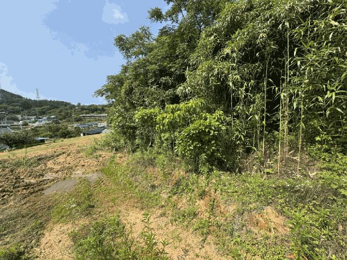 전라남도 무안군 삼향읍 왕산리 349-9 전 경매 사진 6