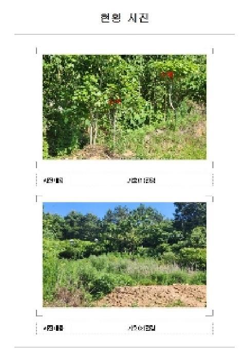 전라남도 무안군 삼향읍 왕산리 349-9 전 경매 사진 8