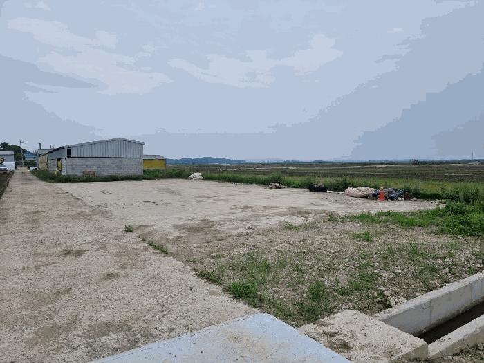전라남도 무안군 몽탄면 당호리 187-1 축사(농가시설) 경매 사진 3