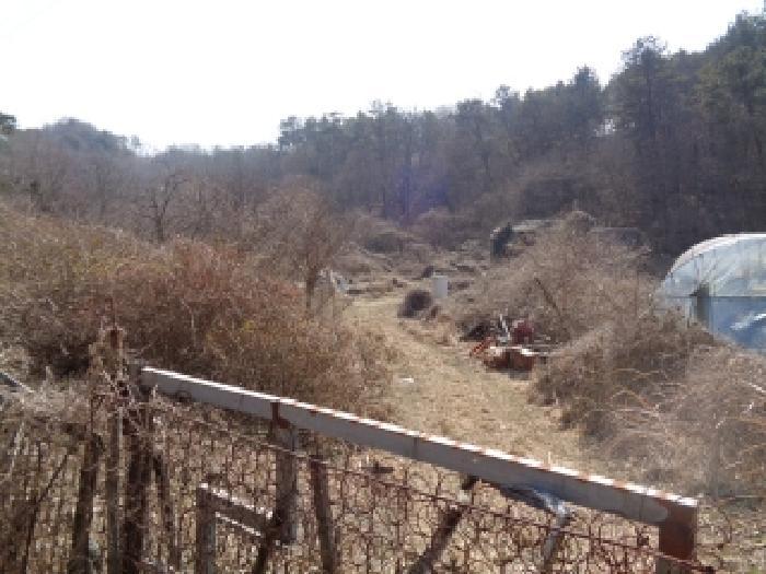 전북특별자치도 완주군 구이면 안덕리 41-1 임야 경매 사진 35