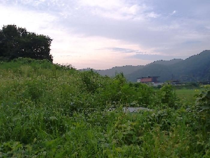 전북특별자치도 완주군 소양면 죽절리 605-1 임야 경매 사진 8