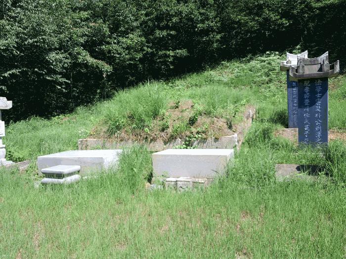 전북특별자치도 완주군 상관면 의암리 산252-1 임야 경매 사진 3