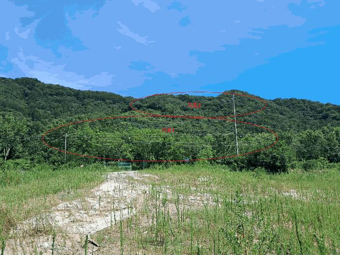 전북특별자치도 완주군 상관면 의암리 산252-1 임야 경매 사진 5