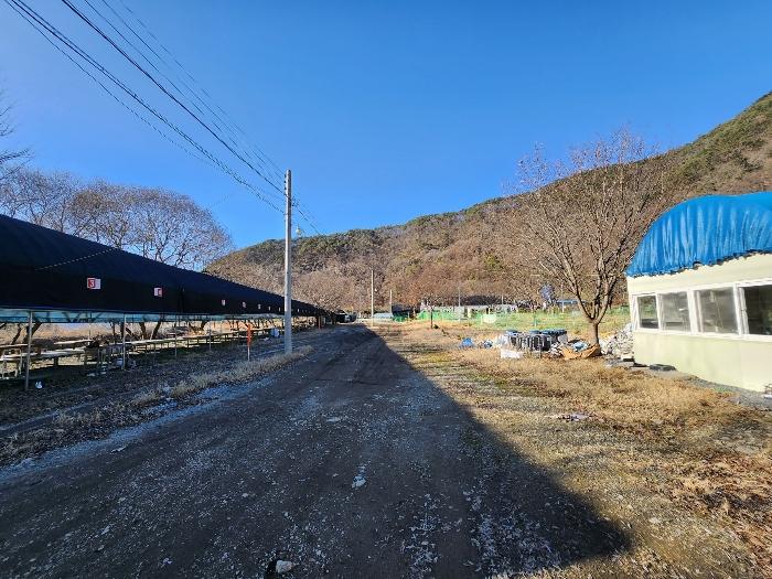 전북특별자치도 완주군 운주면 금당리 143 답 경매 사진 2