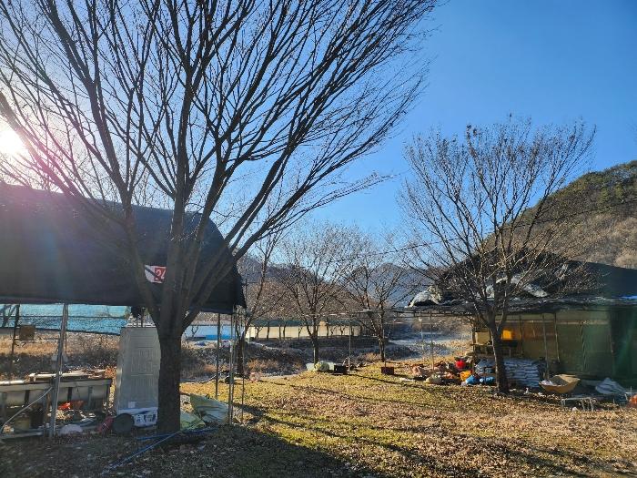 전북특별자치도 완주군 운주면 금당리 143 답 경매 사진 8