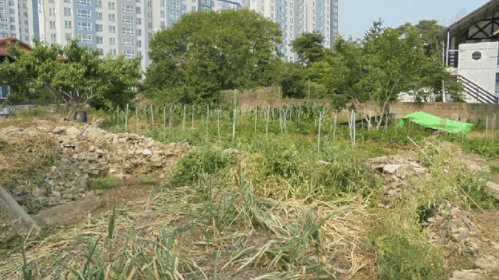전북특별자치도 전주시 덕진구 여의동2가 658-125 대지 경매 사진 5