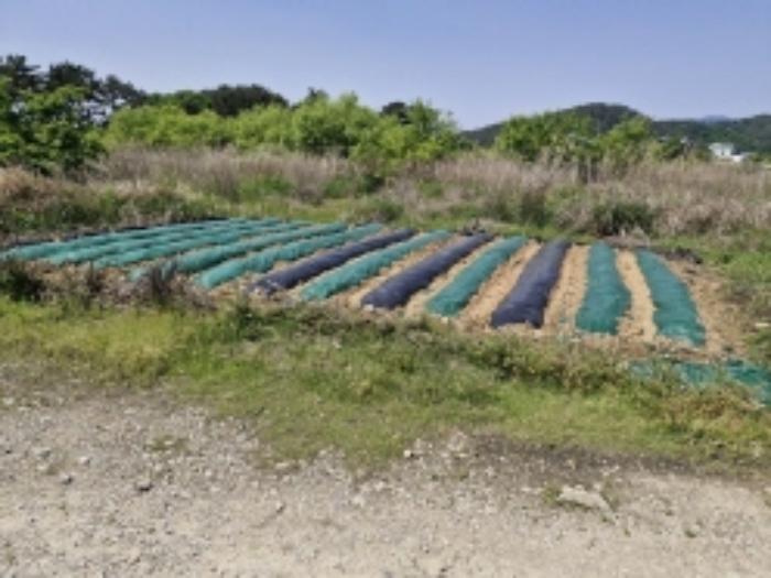 경상남도 고성군 고성읍 우산2길 28-53 자동차관련시설 경매 사진 16