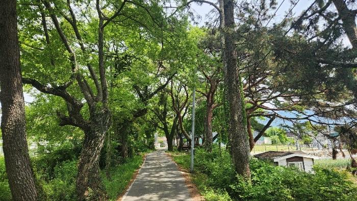 경상남도 고성군 고성읍 우산2길 28-53 자동차관련시설 경매 사진 3