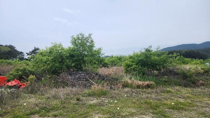 경상남도 고성군 고성읍 우산2길 28-53 자동차관련시설 경매 사진 5
