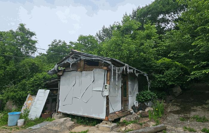 경상남도 거제시 거제면 옥산리 산29-2 임야 경매 사진 4