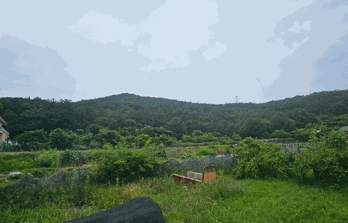 경상남도 거제시 거제면 옥산리 산29-2 임야 경매 사진 9