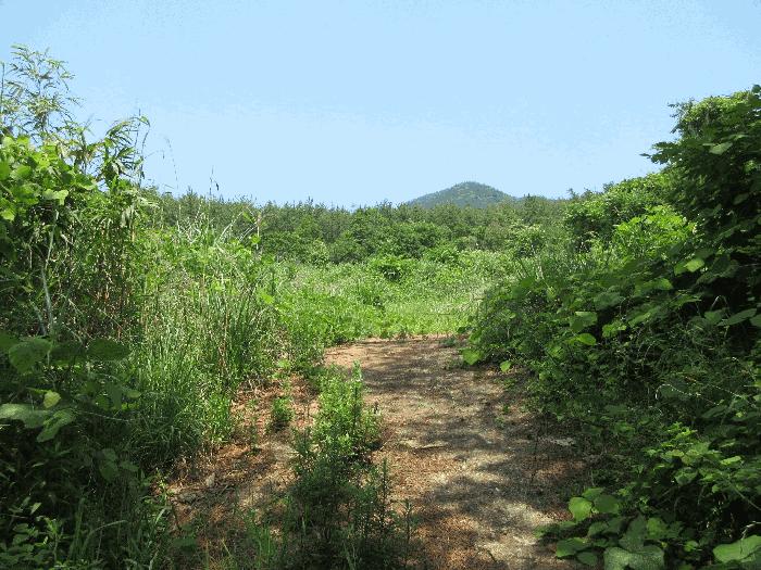 경상남도 고성군 삼산면 미룡리 482-1 전 경매 사진 2
