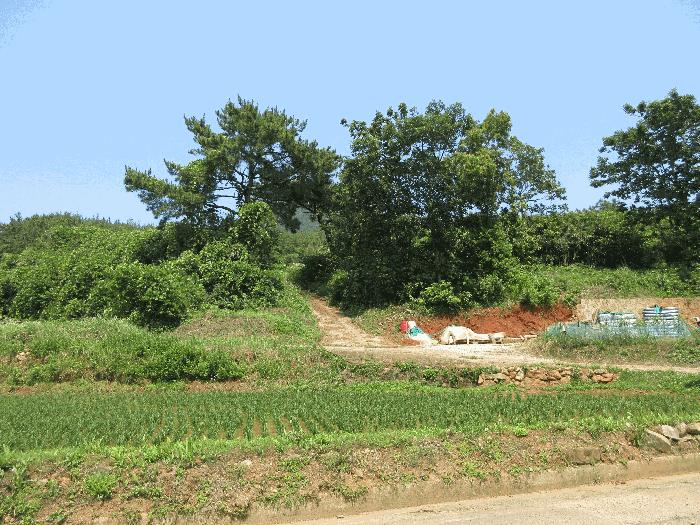 경상남도 고성군 삼산면 미룡리 482-1 전 경매 사진 30