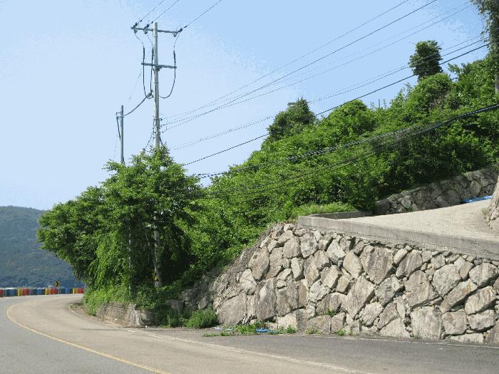 경상남도 고성군 삼산면 미룡리 482-1 전 경매 사진 40