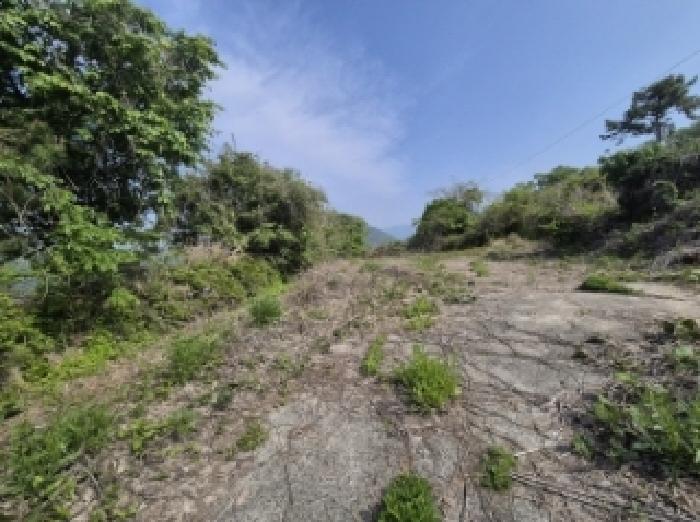 경상남도 고성군 삼산면 미룡리 482-1 전 경매 사진 43