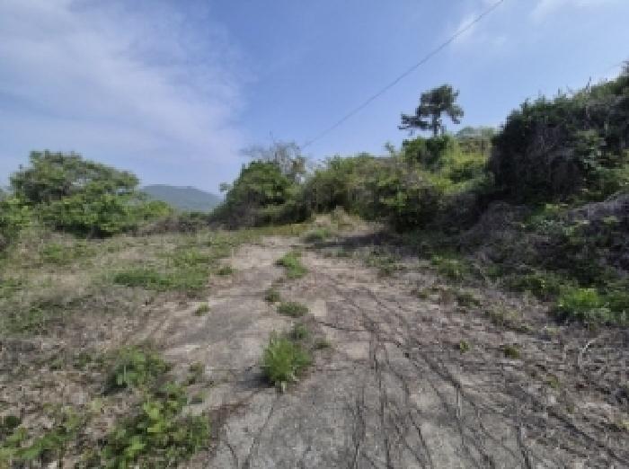 경상남도 고성군 삼산면 미룡리 482-1 전 경매 사진 44