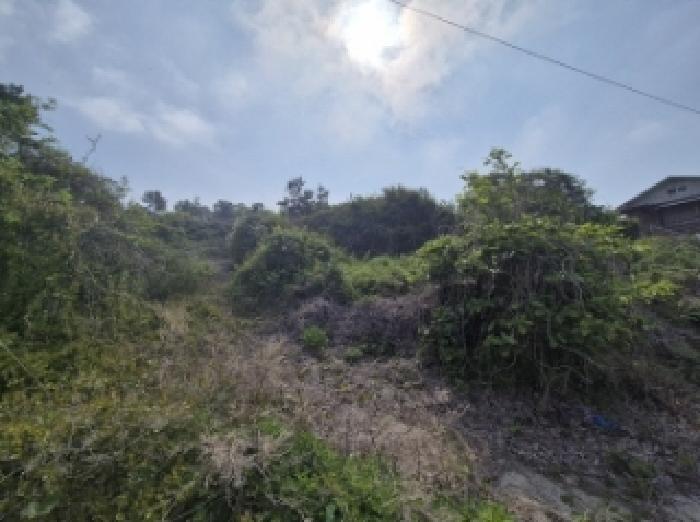 경상남도 고성군 삼산면 미룡리 482-1 전 경매 사진 45