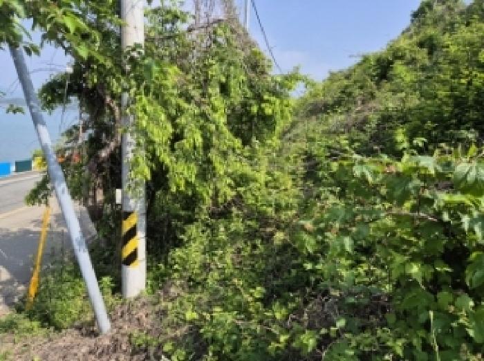 경상남도 고성군 삼산면 미룡리 482-1 전 경매 사진 58