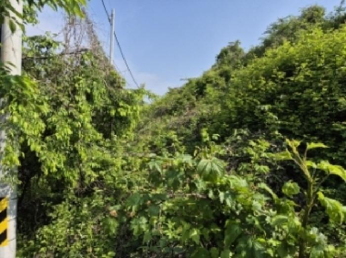 경상남도 고성군 삼산면 미룡리 482-1 전 경매 사진 59