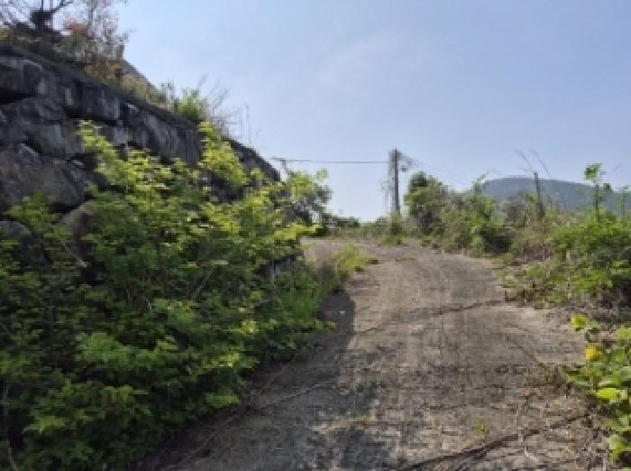 경상남도 고성군 삼산면 미룡리 482-1 전 경매 사진 64