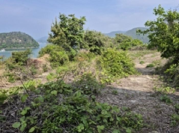 경상남도 고성군 삼산면 미룡리 482-1 전 경매 사진 67