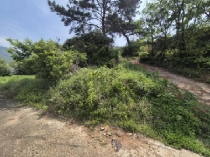 경상남도 고성군 삼산면 미룡리 482-1 전 경매 사진 74