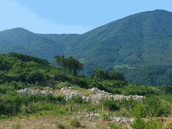 경상남도 거제시 일운면 소동리 산49 임야 경매 사진 2