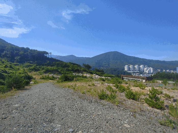 경상남도 거제시 일운면 소동리 산49 임야 경매 사진 4