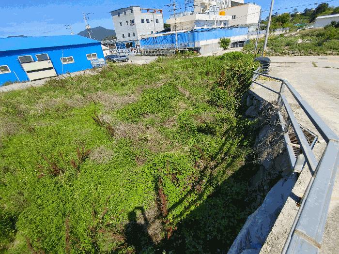 경상남도 통영시 용남면 화삼리 888-8 답 경매 사진 3