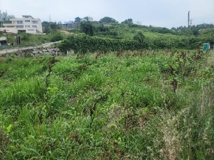 경상남도 통영시 용남면 화삼리 888-8 답 경매 사진 5