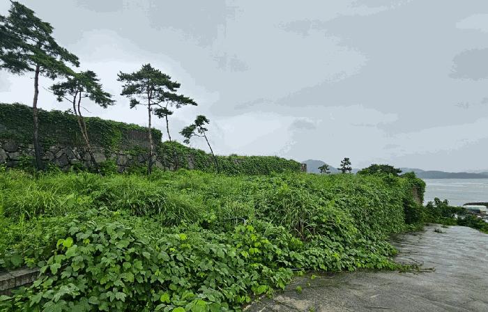 경상남도 고성군 삼산면 두포리 10-5 전 경매 사진 1