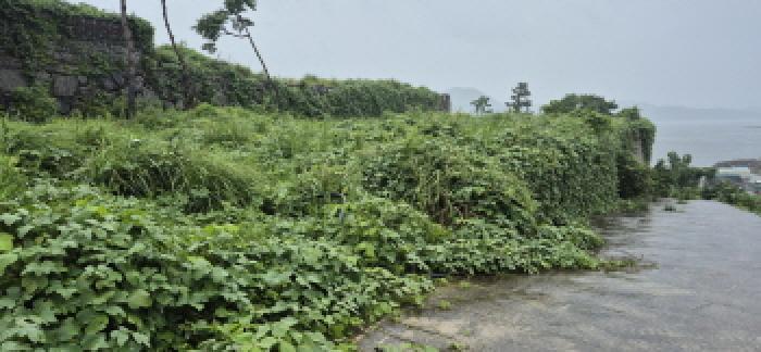 경상남도 고성군 삼산면 두포리 10-5 전 경매 사진 10