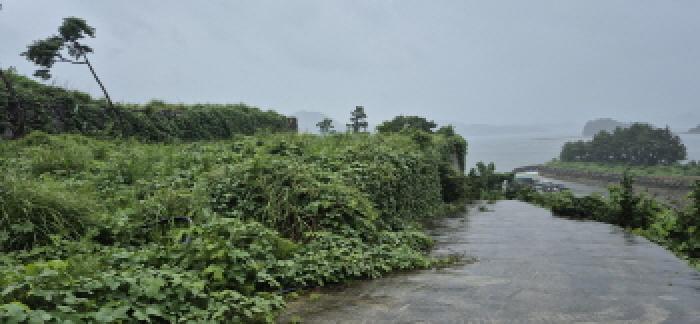 경상남도 고성군 삼산면 두포리 10-5 전 경매 사진 11