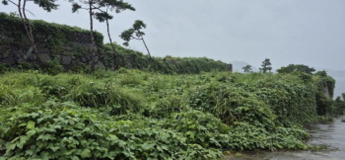 경상남도 고성군 삼산면 두포리 10-5 전 경매 사진 12