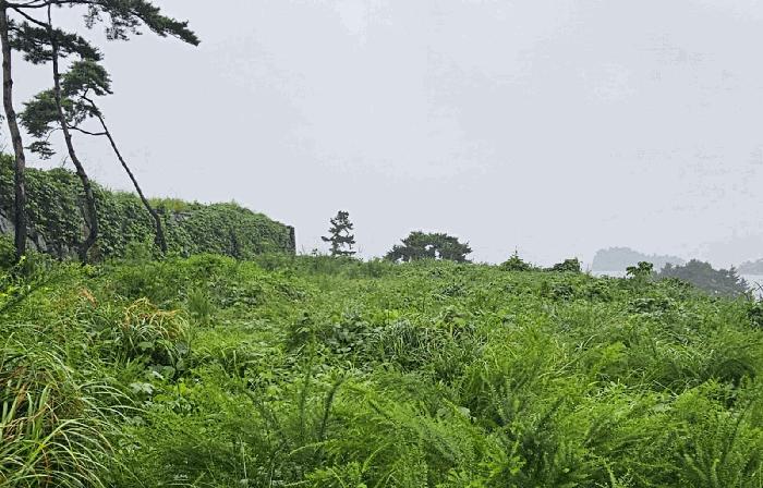 경상남도 고성군 삼산면 두포리 10-5 전 경매 사진 2