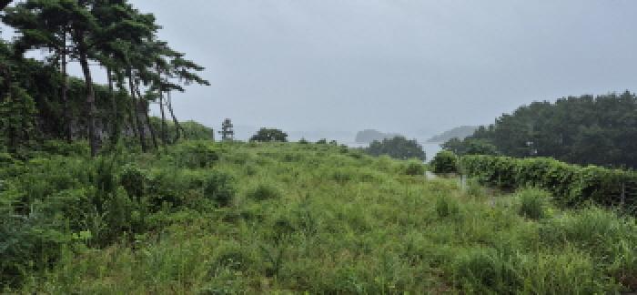 경상남도 고성군 삼산면 두포리 10-5 전 경매 사진 4