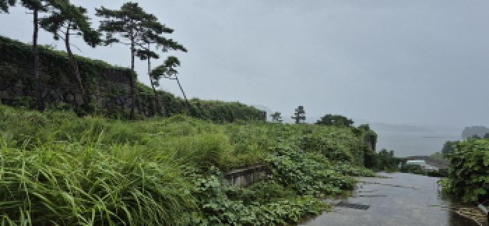경상남도 고성군 삼산면 두포리 10-5 전 경매 사진 5