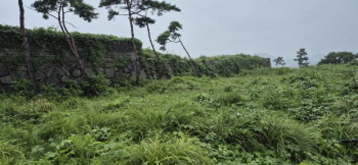 경상남도 고성군 삼산면 두포리 10-5 전 경매 사진 6