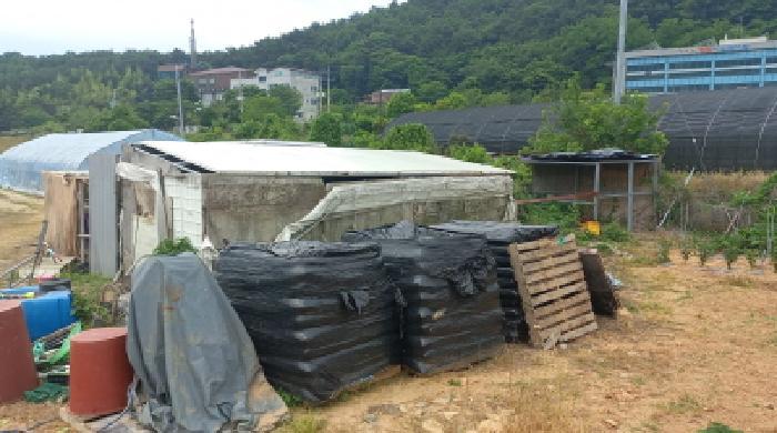 경상남도 거제시 양정동 201-2 답 경매 사진 21