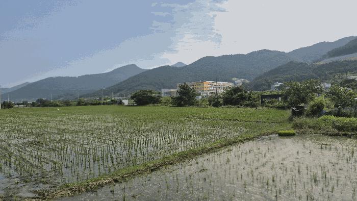 경상남도 거제시 양정동 212 답 경매 사진 1