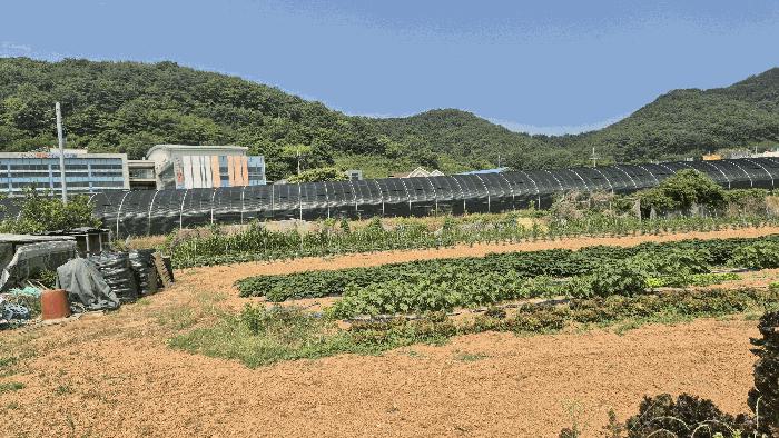 경상남도 거제시 양정동 260-2 답 경매 사진 4
