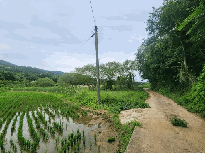 경상남도 거제시 답