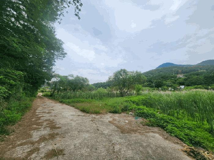 경상남도 거제시 둔덕면 학산리 88-1 답 경매 사진 3