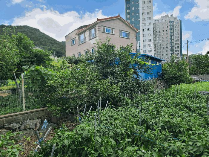 경상남도 거제시 덕포동 476-3 주택 경매 사진 1